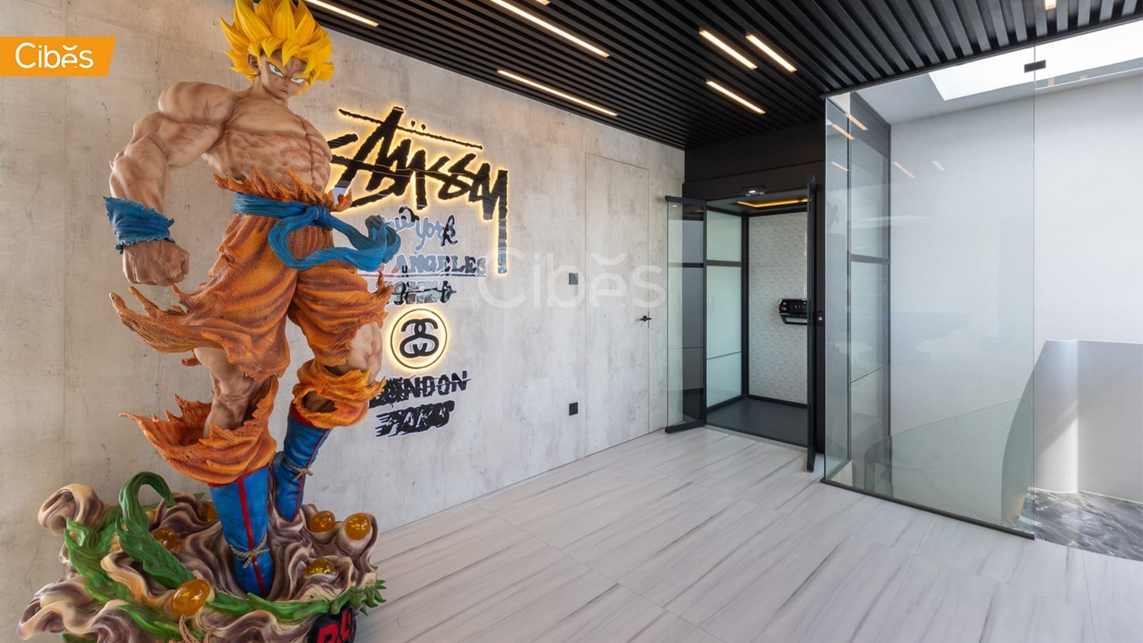 Cibes lift ลิฟท์สาธารณะ ลิฟท์กระจกกลางบันได 1 Cibes lift ลิฟท์สาธารณะ ลิฟท์กระจกกลางบันได 1