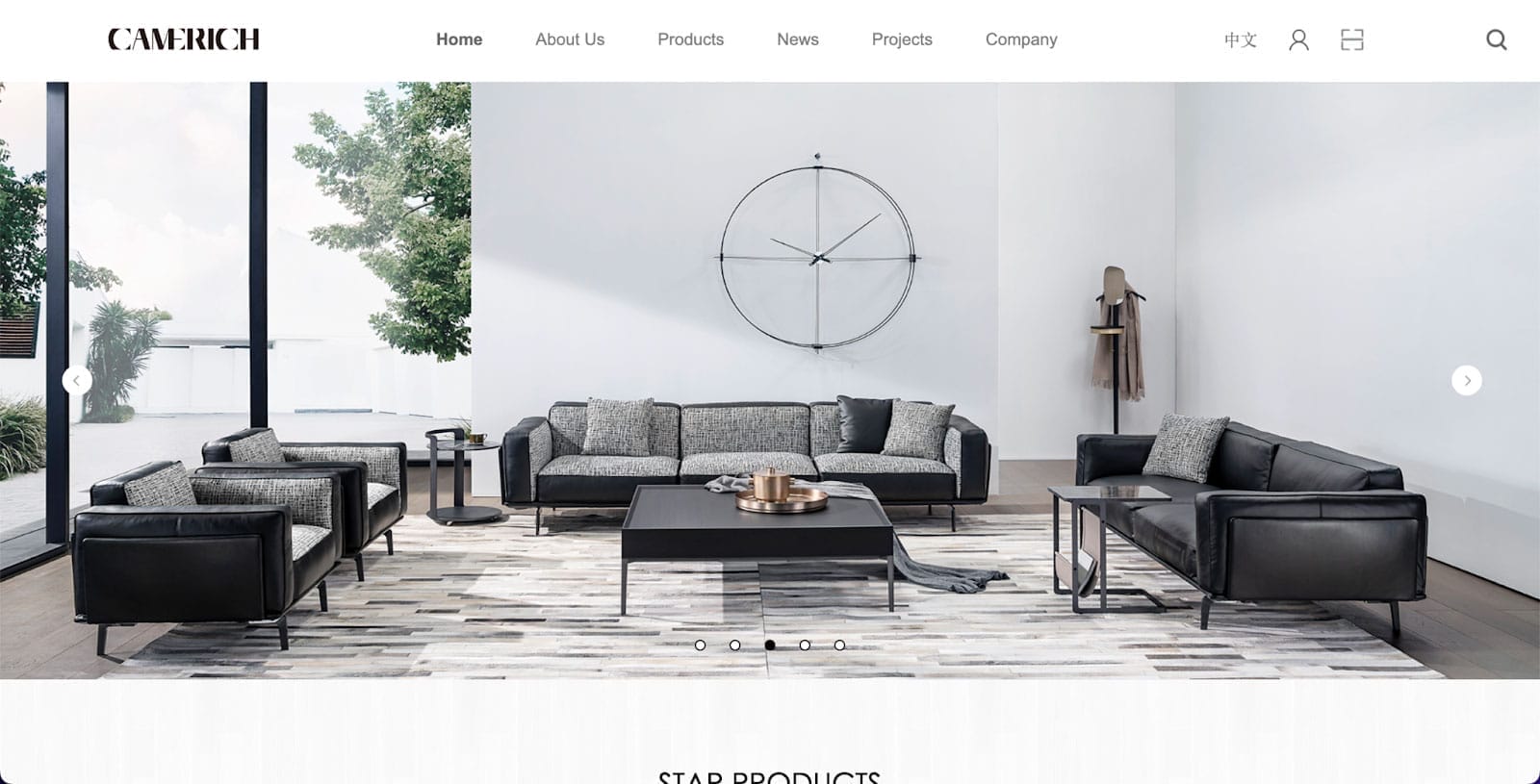 premium sofa 23 camerich brand